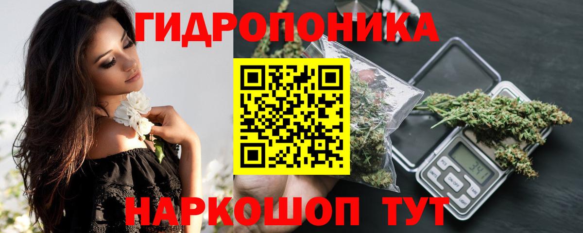 Волоколамск  Канабис сатива  Бошки Шишки AK-47  Вход с VPN  Бошки марихуана Bruce Banner 